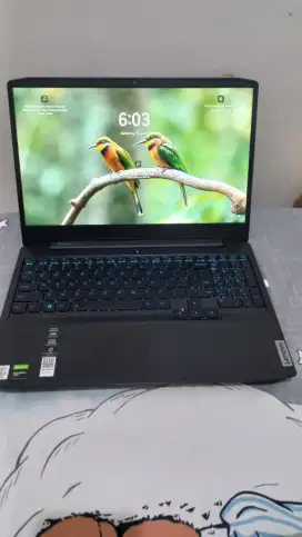 Laptop Lenovo Ideapad Gaming 3i i7 512 GB GTX1650TI