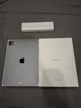 Ipad Pro M1 gen 3 256gb 11inc