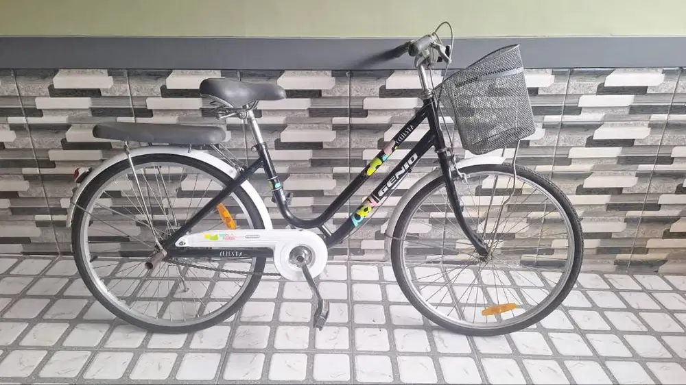 Jual Sepeda Perempuan