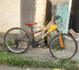 MTB Polygon Recoil 24 inch