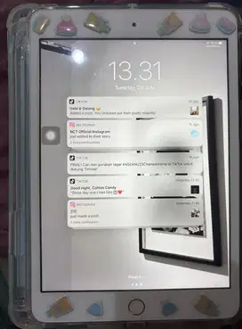 ipad mini 3 ibox