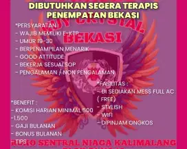 DIBUTUHKAN BANYAK TERAPIS