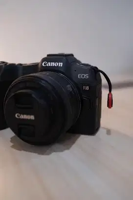 Canon R8 Body Only