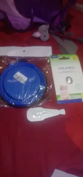 Vitamin dan obat kutu kucing