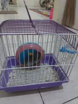 Sepaket kandang plus hamster