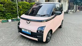 Wuling airev long range 300