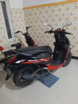 Honda genio 2022