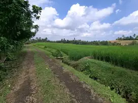 Dijual tanah 7 are view sawah
