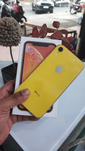 iPhone xr 64GB Wifi Only