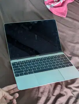 Macbook Retina 12inc 2015 (matot)