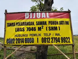 Dijual Tanah Pekarangan, Sawah, Pohon Jati Lokasi Ngawi