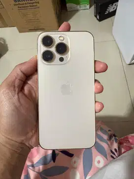 Iphone 13 Pro 256gb