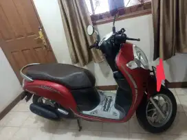 HONDA SCOOPY 2019