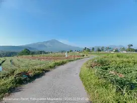TANAH VILLA PACET VIEW TERBAIK BAGUS CANTIK TINGGI SEJUK