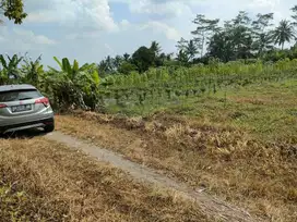 turun harga jual tanah luas 557m2 dibarat jl palagan km 15 view sawah