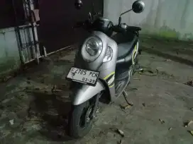 Honda scoopy 2024 tipe sporty grey
