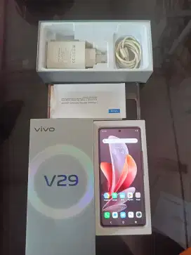 VIVO V29 12/512