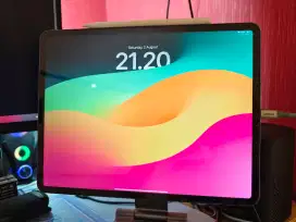 iPad Pro 12'9 (5th Gen) M1 Data + Wifi