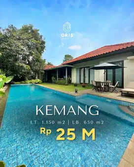 Harga Menarik Rumah Cantik Halaman Luas di Kemang Jakarta Selatan