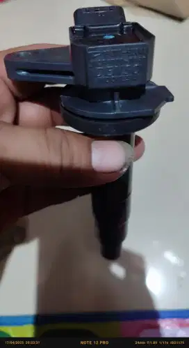 Coil avanza/rush
