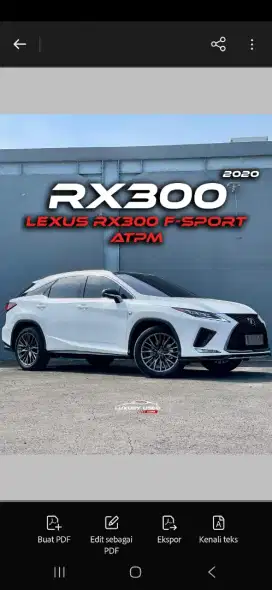 [F-SPORT] LEXUS RX300 2020 / 2021