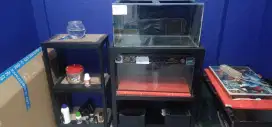 Aquarium beserta rak
