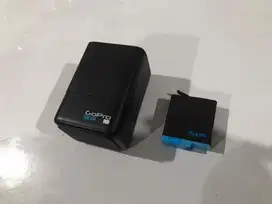 Dual Charger Gopro 7 8 Original dan Baterai Telesin