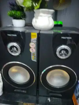 POLYTRON AKTIVE SPEAKER SYSTEM