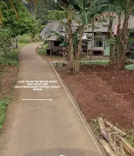 TANAH KEBUN MURAH TANAH DATAR. DAN STRATEGIS DI GUNUNG SINDUR BOGOR