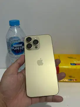 iPhone 14 Pro Max 512Gb Gold Inter USA