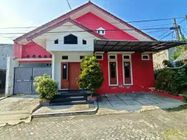 Rumah besar di kota suasana desa