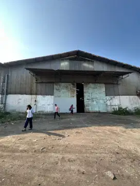 Disewakan Gudang 1 Ha di Surimulia Margomulyo – Cocok Parkiran Truk