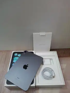 IPAD MINI 6 256 GRAY WIFI