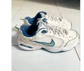 jual aja sepatu Nike air monarch