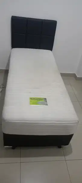 Springbed Bonanza