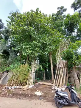 DIJUAL TANAH KAVLING EKSKLUSIF MURAH  250 m2