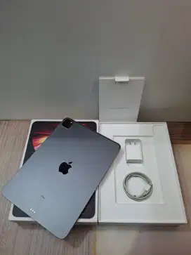 IPAD PRO M1 11INC 256 GRAY WIFI