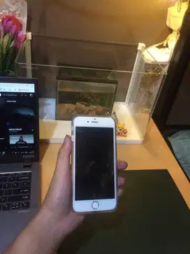 iphone 6 as digicam
