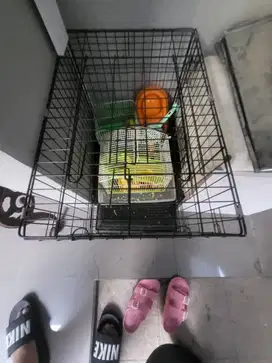 Kandang Hewan Hitam
