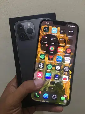 iPhone 13 Pro Max 256 GB ex iBox Fullset Mulus BH 83%
