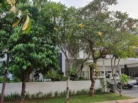 Rumah Luas Siap Huni Lokasi Premium Di Bintaro Sektor 7. 16827