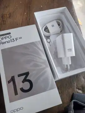 charger original oppo 45 watt