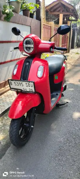 Fazzio neo konci th 2025 bln 4 merah glossy