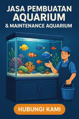 Custom aquarium