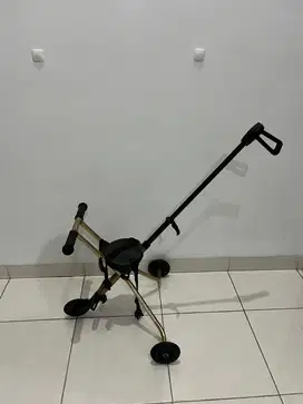 Sepeda Micro trike anak