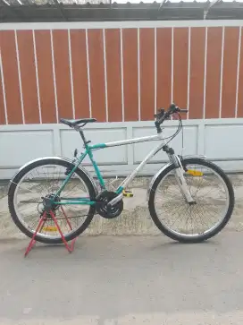 SEPEDA FEDERAL CITYCAT 1995