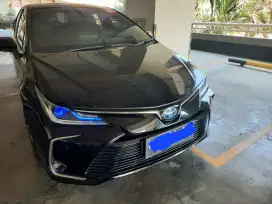 Altis hybrid nik2021 pemakaian 2022