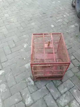 Jual kandang layak di pakai
