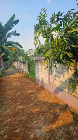 Tanah Kosong disewakan untuk Usaha