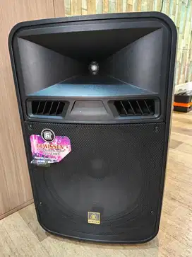 KARAOKE SPEAKER SYSTEM